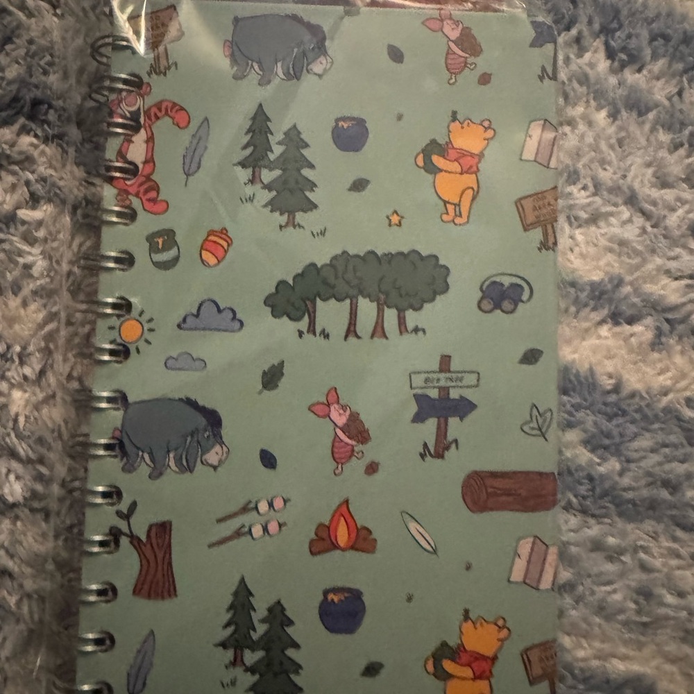 Winnie the Pooh Green Spiral Notebook
